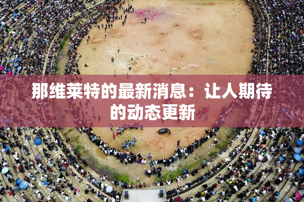 那维莱特的最新消息：让人期待的动态更新