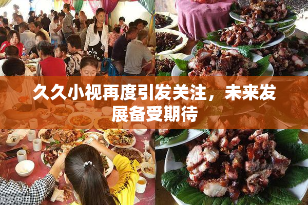 久久小视再度引发关注，未来发展备受期待