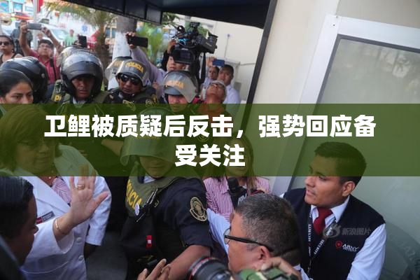 卫鲤被质疑后反击，强势回应备受关注