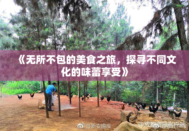 《无所不包的美食之旅，探寻不同文化的味蕾享受》