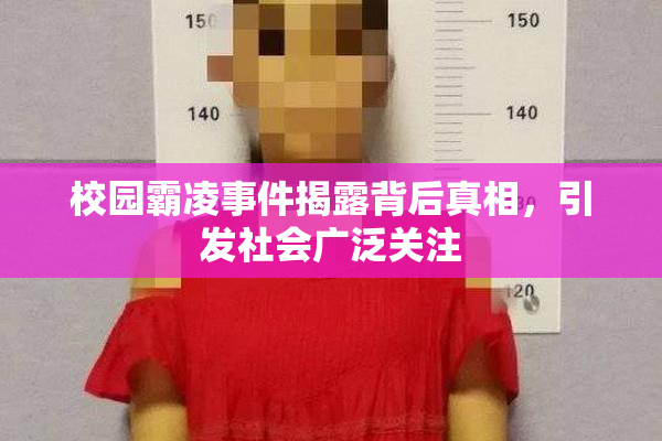 校园霸凌事件揭露背后真相，引发社会广泛关注