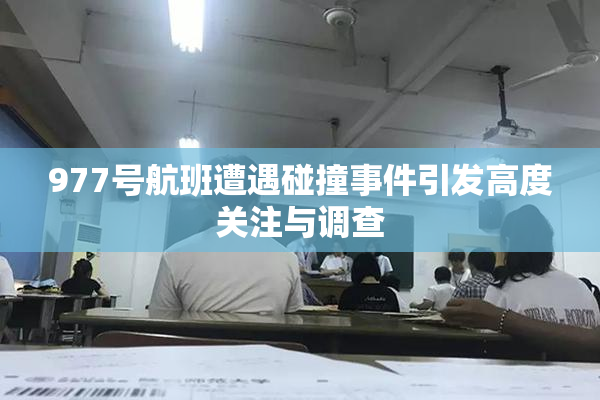 977号航班遭遇碰撞事件引发高度关注与调查