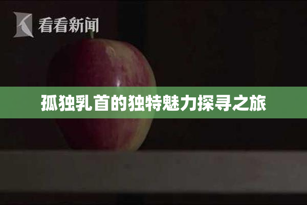 孤独乳首的独特魅力探寻之旅