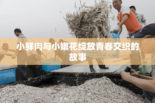 小鲜肉与小嫩花绽放青春交织的故事