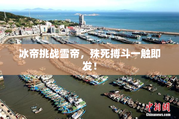 冰帝挑战雪帝，殊死搏斗一触即发！
