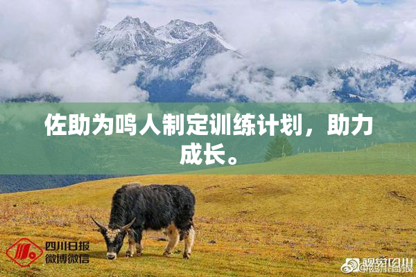佐助为鸣人制定训练计划，助力成长。