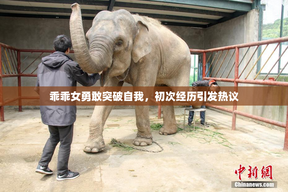 乖乖女勇敢突破自我，初次经历引发热议