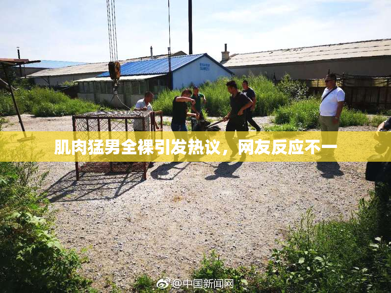 肌肉猛男全裸引发热议，网友反应不一