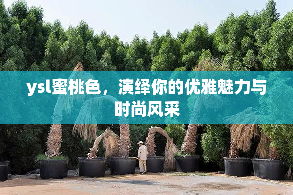 ysl蜜桃色，演绎你的优雅魅力与时尚风采