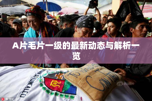 A片毛片一级的最新动态与解析一览