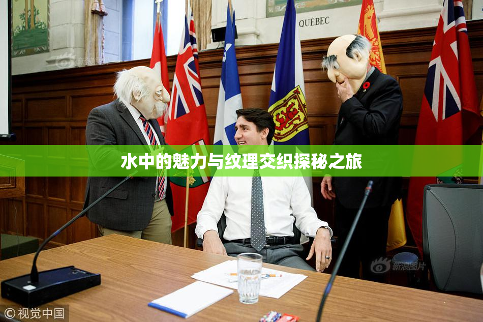 水中的魅力与纹理交织探秘之旅