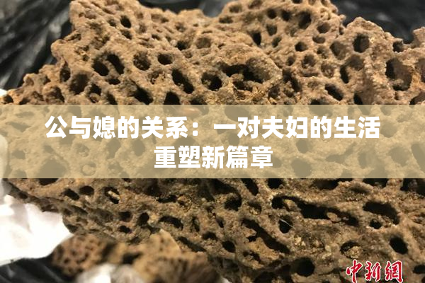 公与媳的关系：一对夫妇的生活重塑新篇章