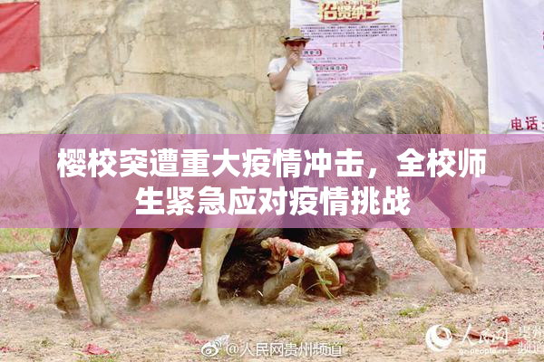 樱校突遭重大疫情冲击，全校师生紧急应对疫情挑战