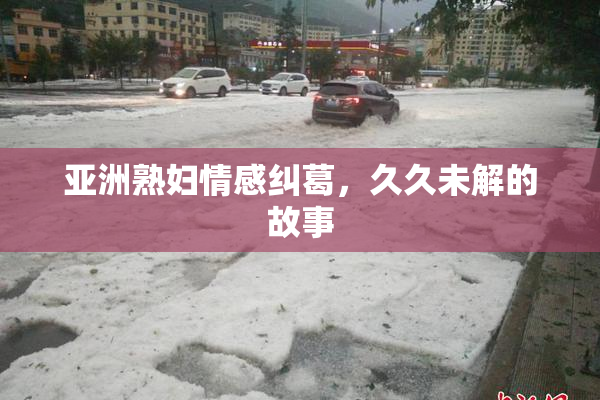 亚洲熟妇情感纠葛，久久未解的故事