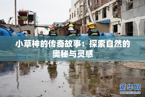 小草神的传奇故事：探索自然的奥秘与灵感