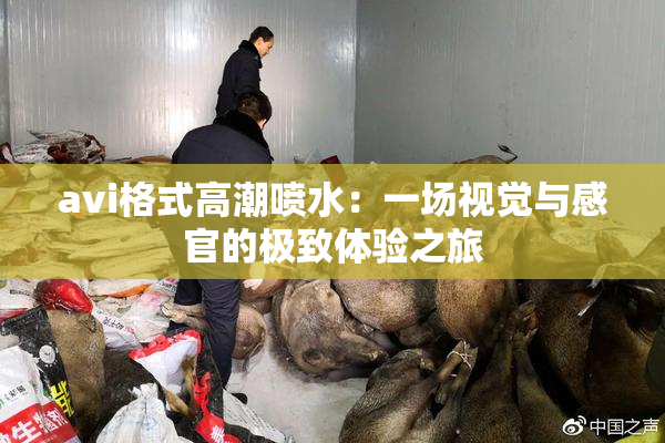 avi格式高潮喷水：一场视觉与感官的极致体验之旅