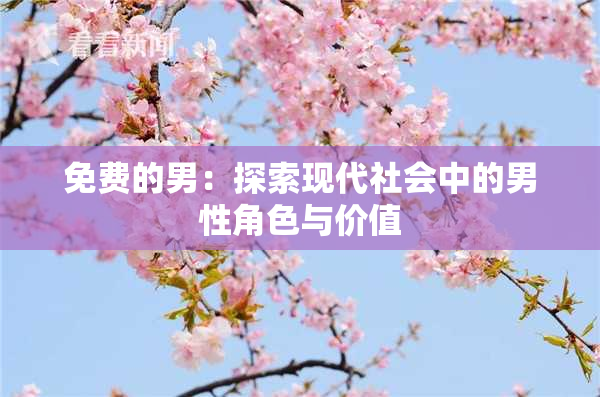 免费的男：探索现代社会中的男性角色与价值