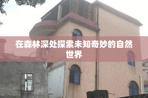 在森林深处探索未知奇妙的自然世界