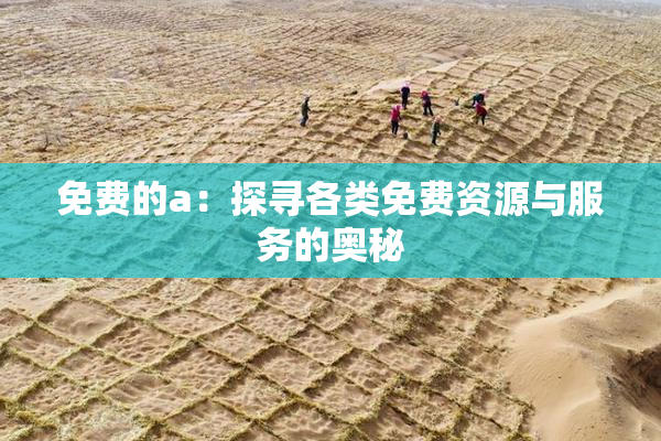 免费的a：探寻各类免费资源与服务的奥秘