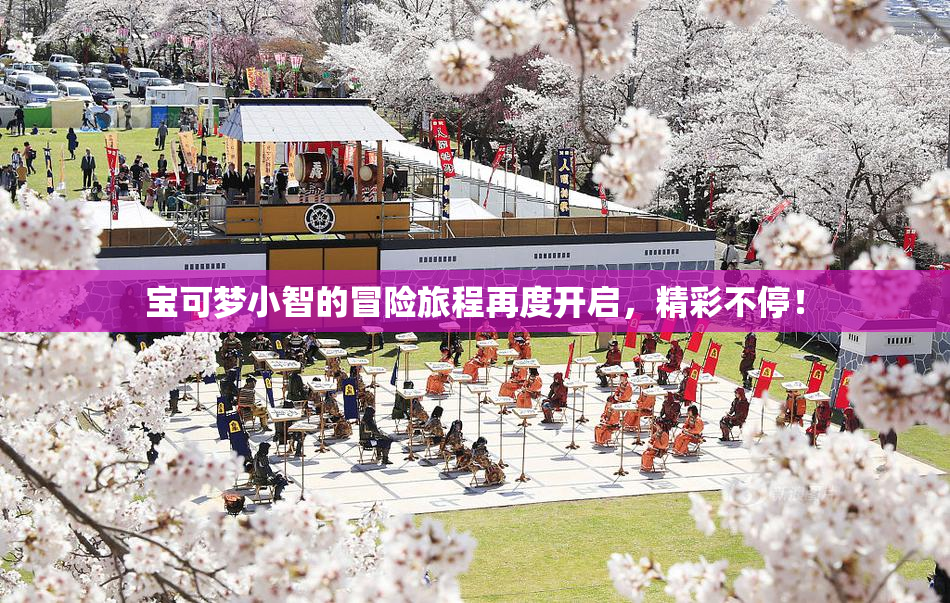 宝可梦小智的冒险旅程再度开启，精彩不停！