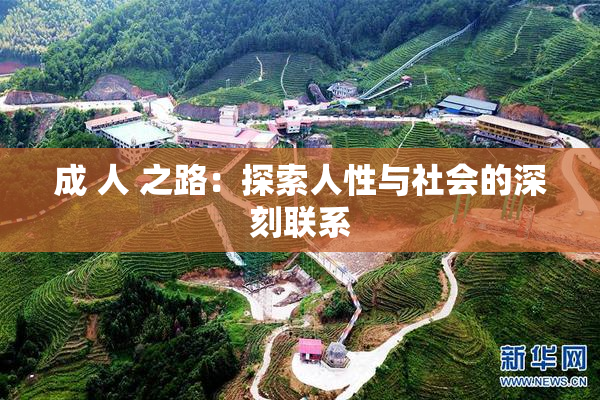 成 人 之路：探索人性与社会的深刻联系