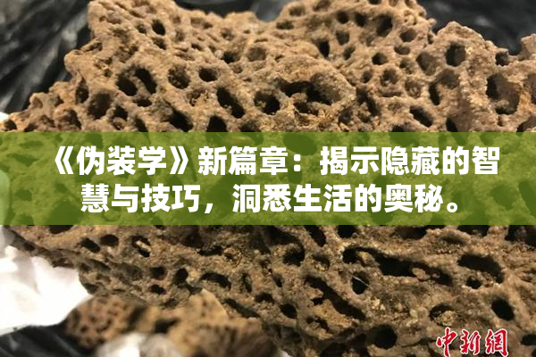 《伪装学》新篇章：揭示隐藏的智慧与技巧，洞悉生活的奥秘。