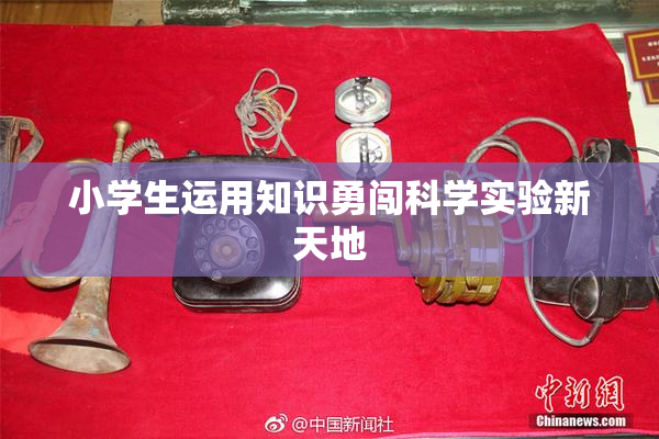 小学生运用知识勇闯科学实验新天地