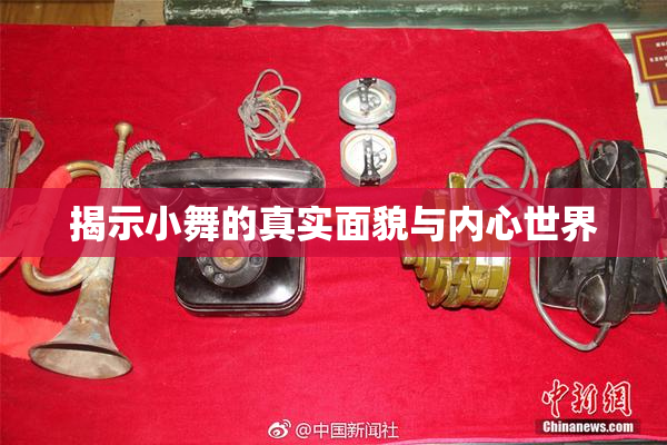 揭示小舞的真实面貌与内心世界