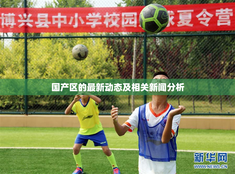 国产区的最新动态及相关新闻分析