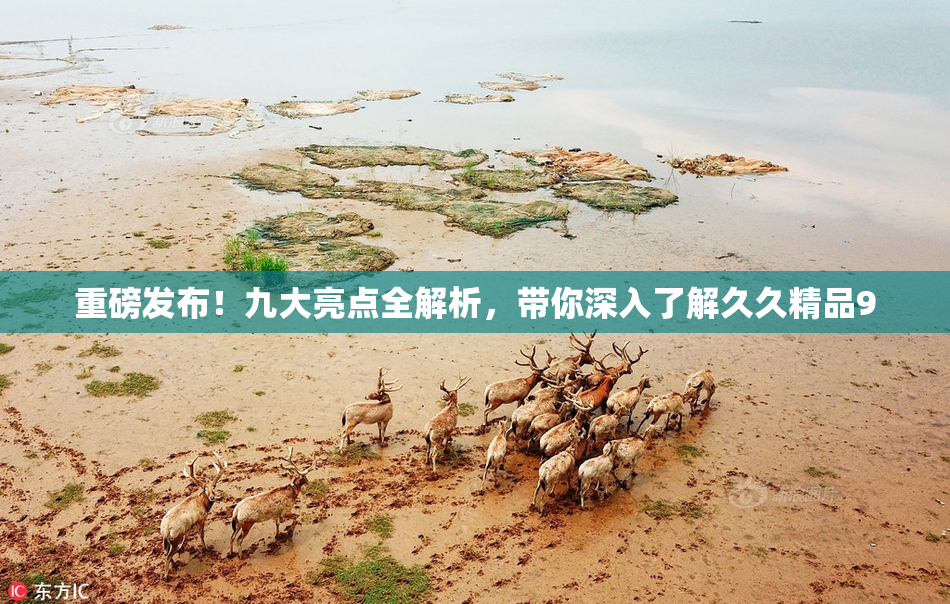 重磅发布！九大亮点全解析，带你深入了解久久精品9