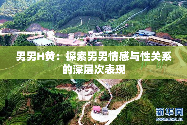 男男H黄：探索男男情感与性关系的深层次表现