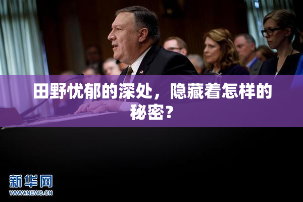 田野忧郁的深处，隐藏着怎样的秘密？