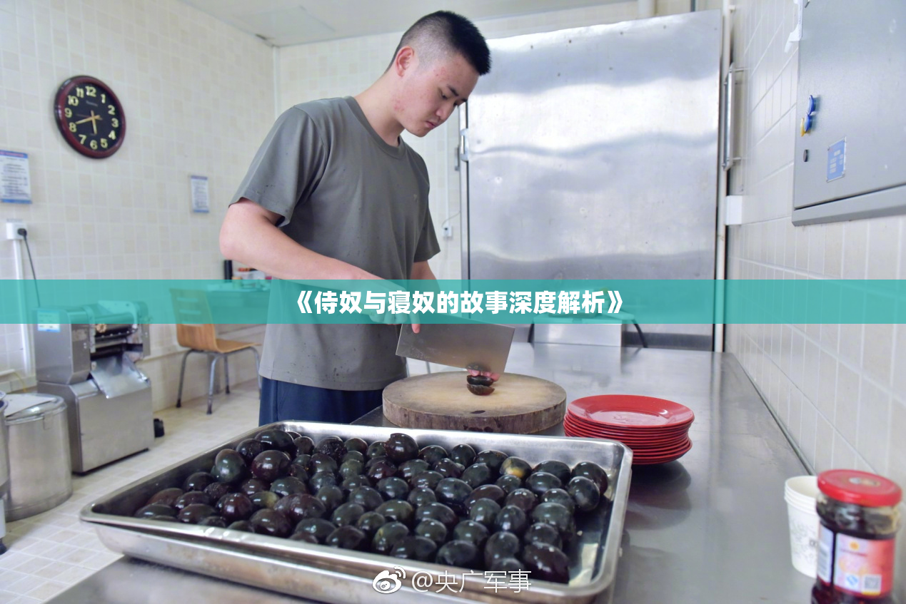《侍奴与寝奴的故事深度解析》