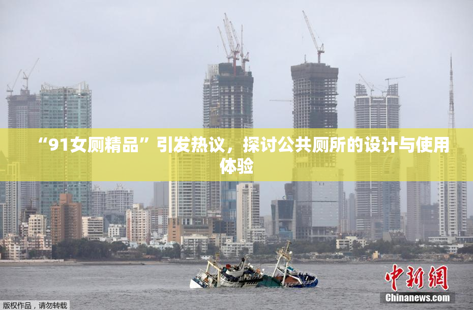 “91女厕精品”引发热议，探讨公共厕所的设计与使用体验