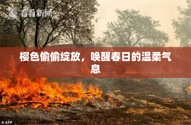 樱色偷偷绽放，唤醒春日的温柔气息