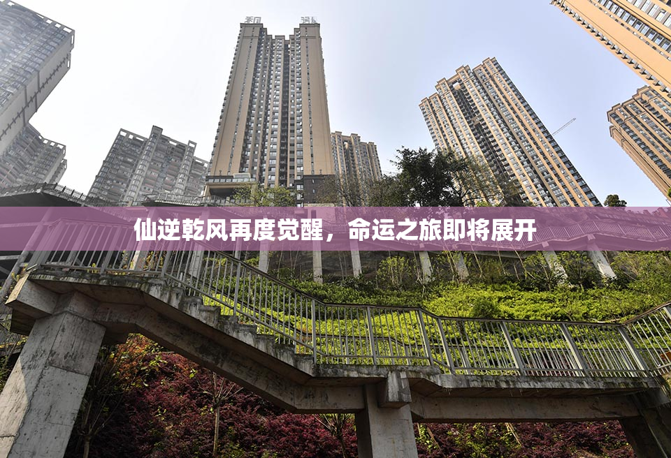 仙逆乾风再度觉醒，命运之旅即将展开