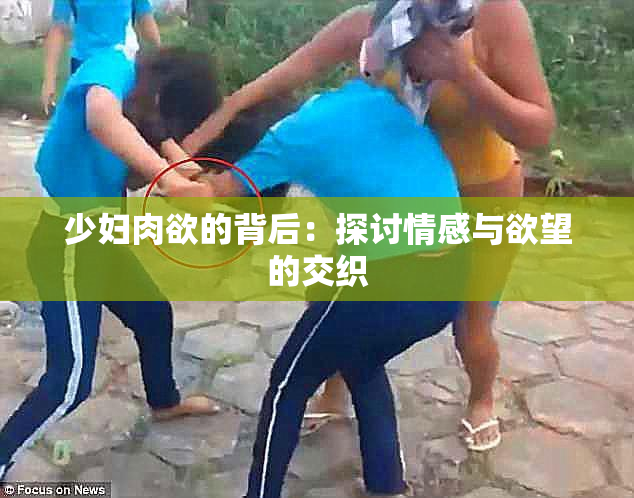 少妇肉欲的背后：探讨情感与欲望的交织