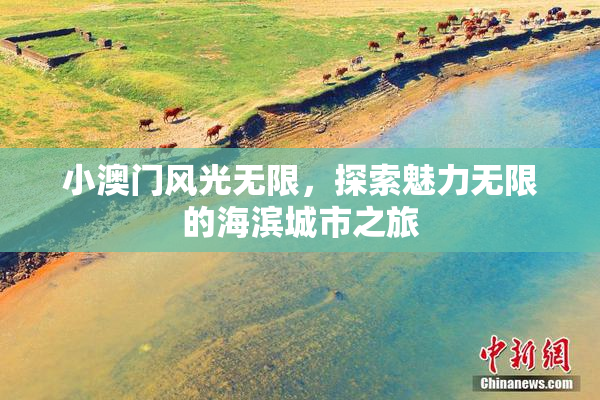 小澳门风光无限，探索魅力无限的海滨城市之旅