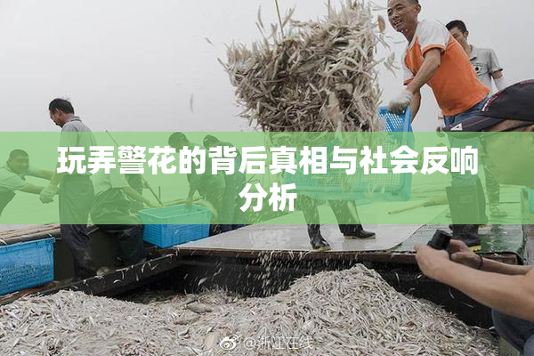 玩弄警花的背后真相与社会反响分析