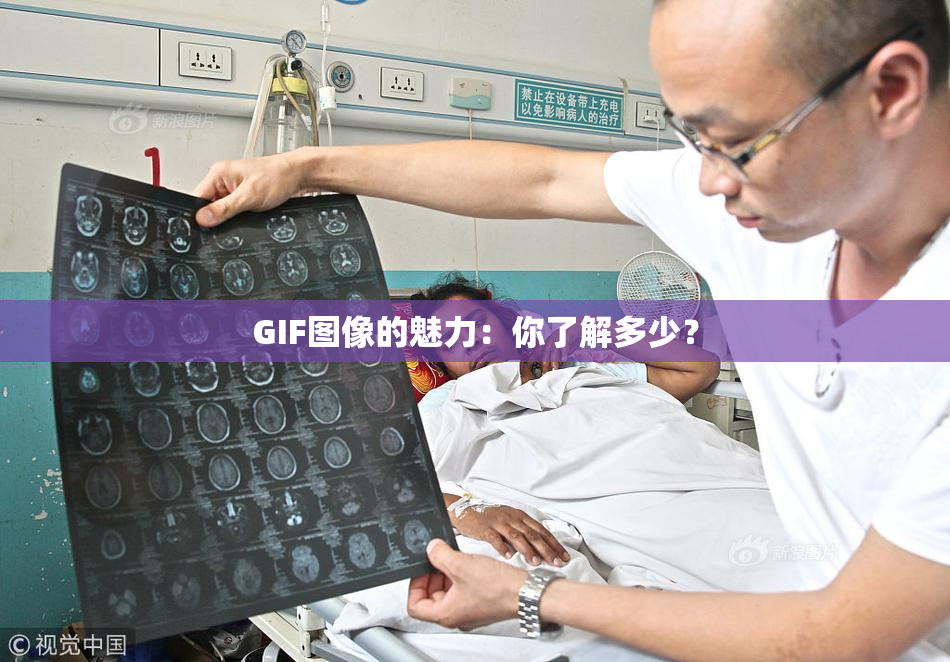 GIF图像的魅力：你了解多少？