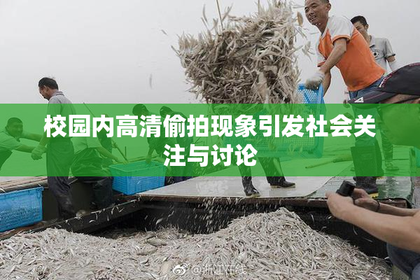 校园内高清偷拍现象引发社会关注与讨论