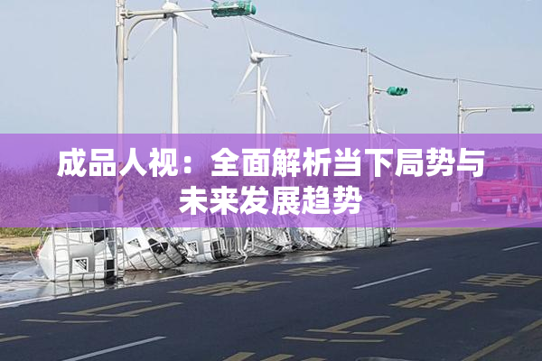 成品人视：全面解析当下局势与未来发展趋势