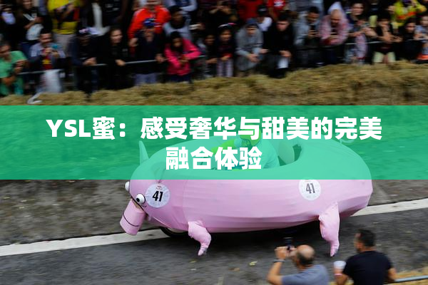 YSL蜜：感受奢华与甜美的完美融合体验