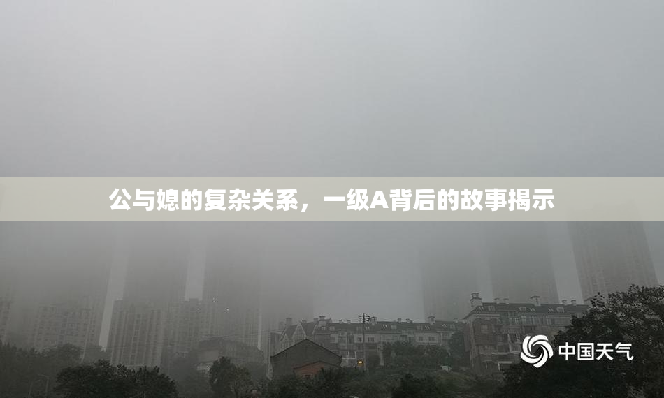 公与媳的复杂关系，一级A背后的故事揭示