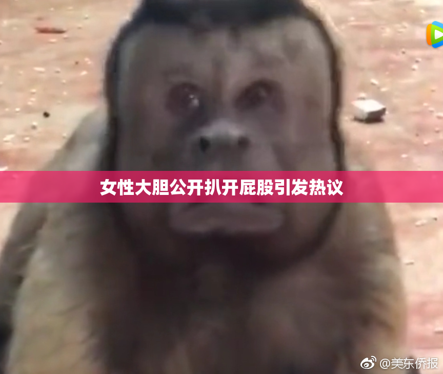 女性大胆公开扒开屁股引发热议