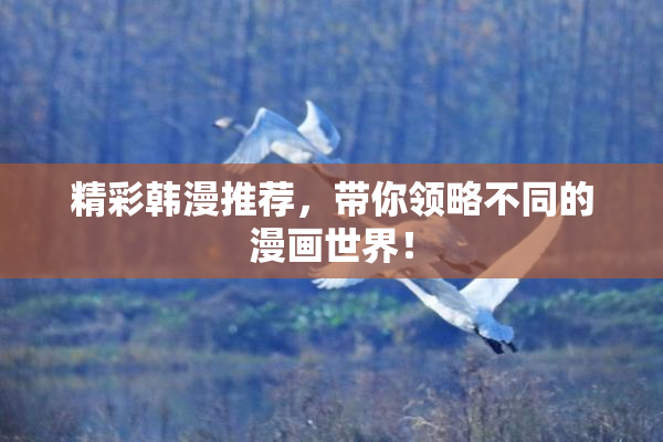 精彩韩漫推荐，带你领略不同的漫画世界！
