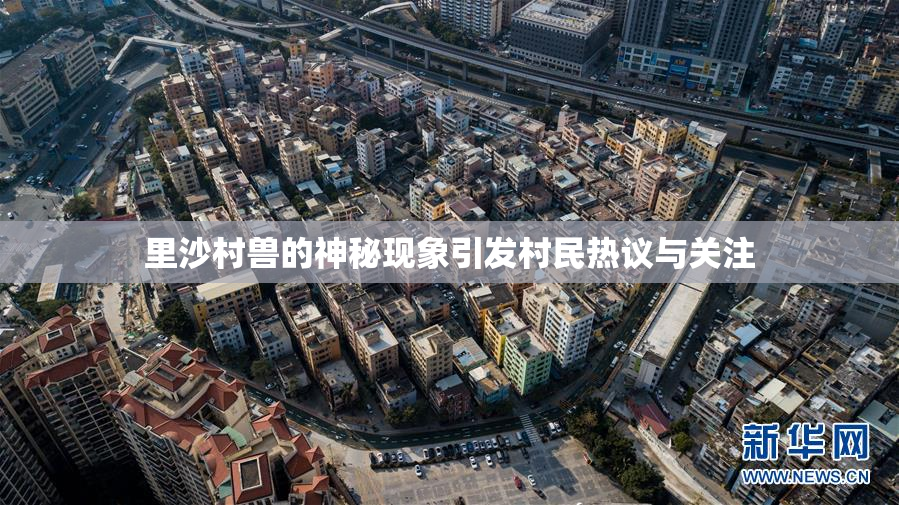 里沙村兽的神秘现象引发村民热议与关注
