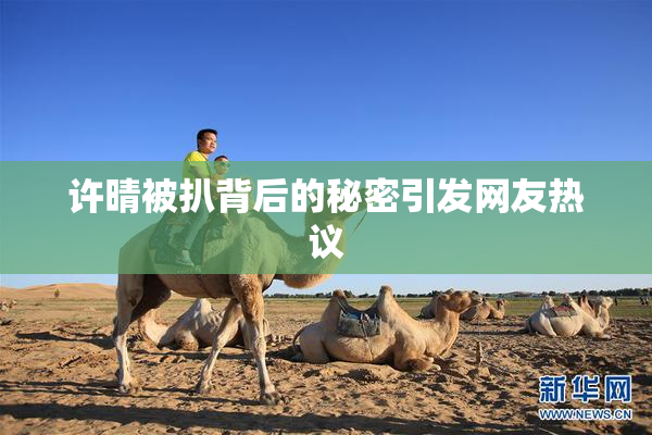 许晴被扒背后的秘密引发网友热议
