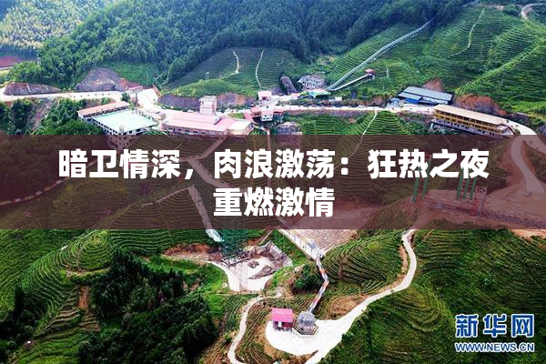 暗卫情深，肉浪激荡：狂热之夜重燃激情