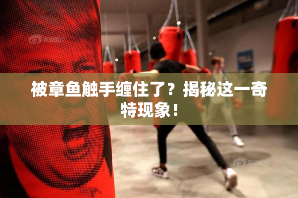 被章鱼触手缠住了？揭秘这一奇特现象！
